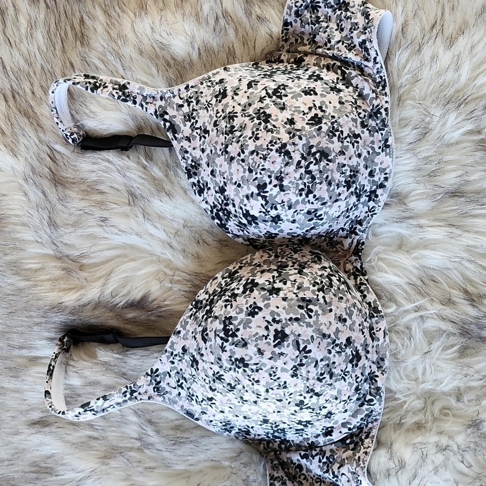 Cacique 42C